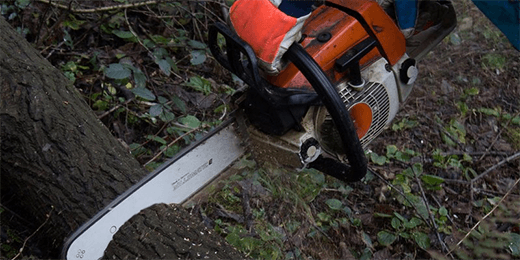 4 Reasons Why Your Chainsaw Running Rough - hipaparts