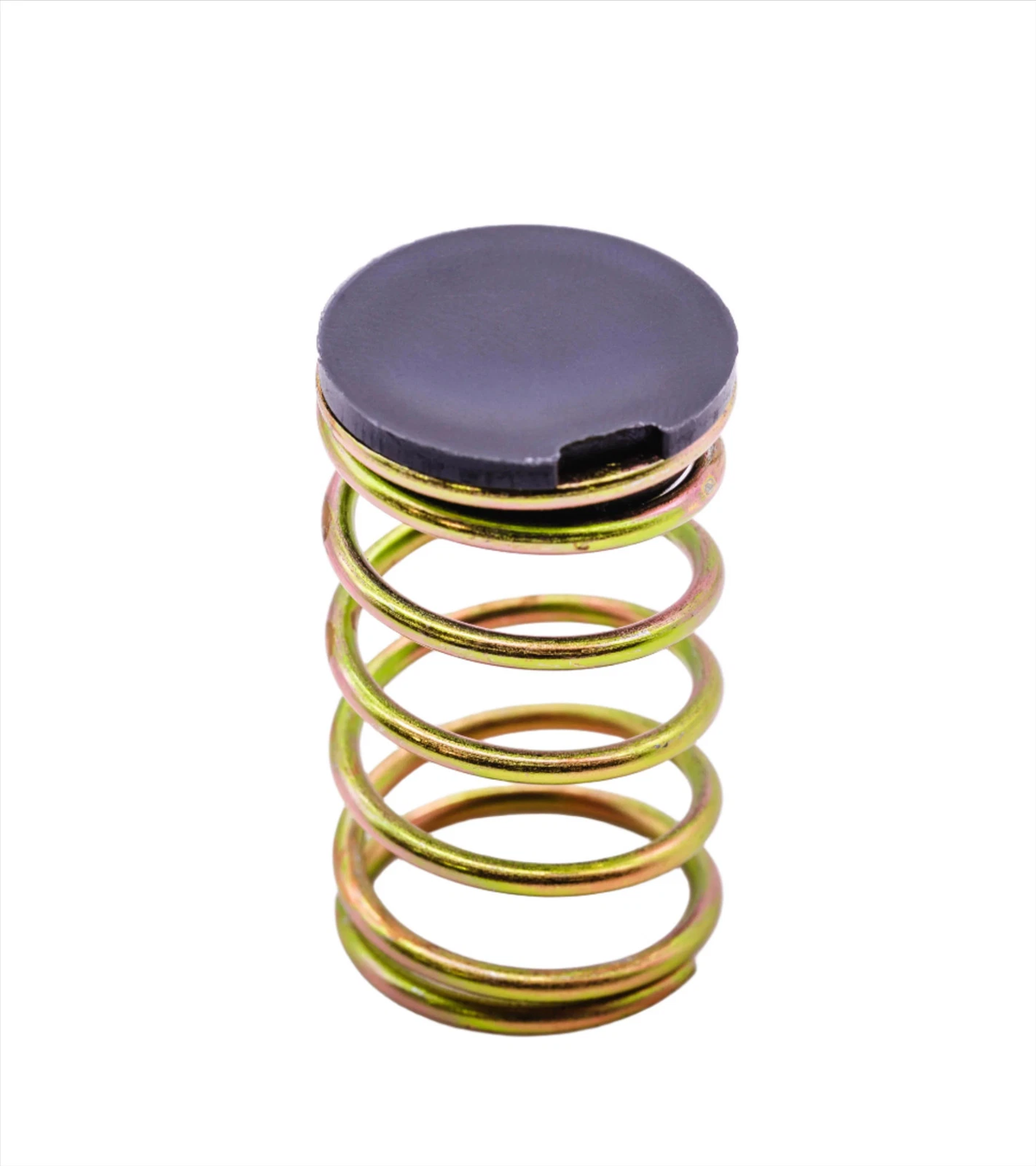 ECHO SPRING AND CAP FITS SRM-225 V450001880 - Hipa GA1026