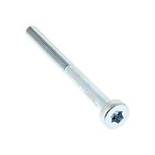 Torx Bolt for ECHO PPT-2620HES, PPT-2620ES Pole Pruners - V805000340