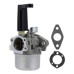 Hipa GA933 Carburetor Similar to 696065 Compatible with Briggs & Stratton 110402 110412 Engines - hipaparts