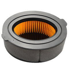 Hipa GA1103 Air Filter Compatible with MTD Troy-Bilt 161-VH 170 270 Engine Similar to 951-10794 - hipaparts