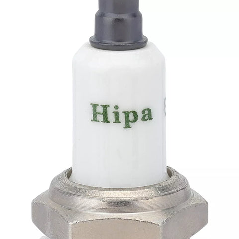 Spark Plug 796112 For Briggs & Stratton Fits Champion J19LM RJ19LM 4 Pack